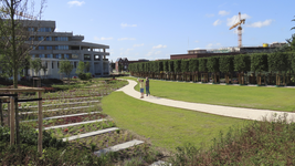 901732 Gezicht over de onlangs aangelegde Stadstuin, het Plantsoen van Boedapest, naar het zuidwesten, van bij het ...